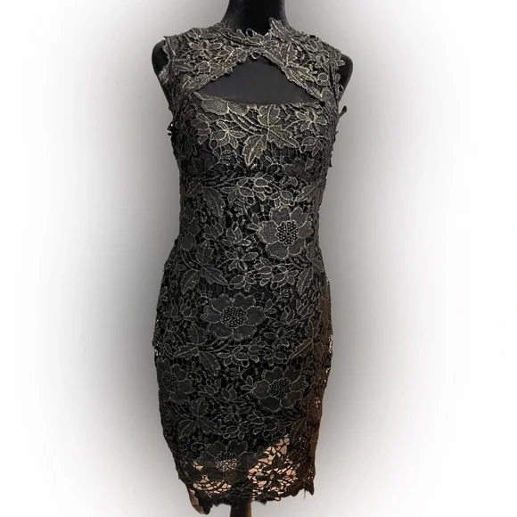 chinese dress ladies Betsy & Adam Women's Lace Fit & Flare Dress (6, Black) at Amazon Women's  Clothing store main image 0